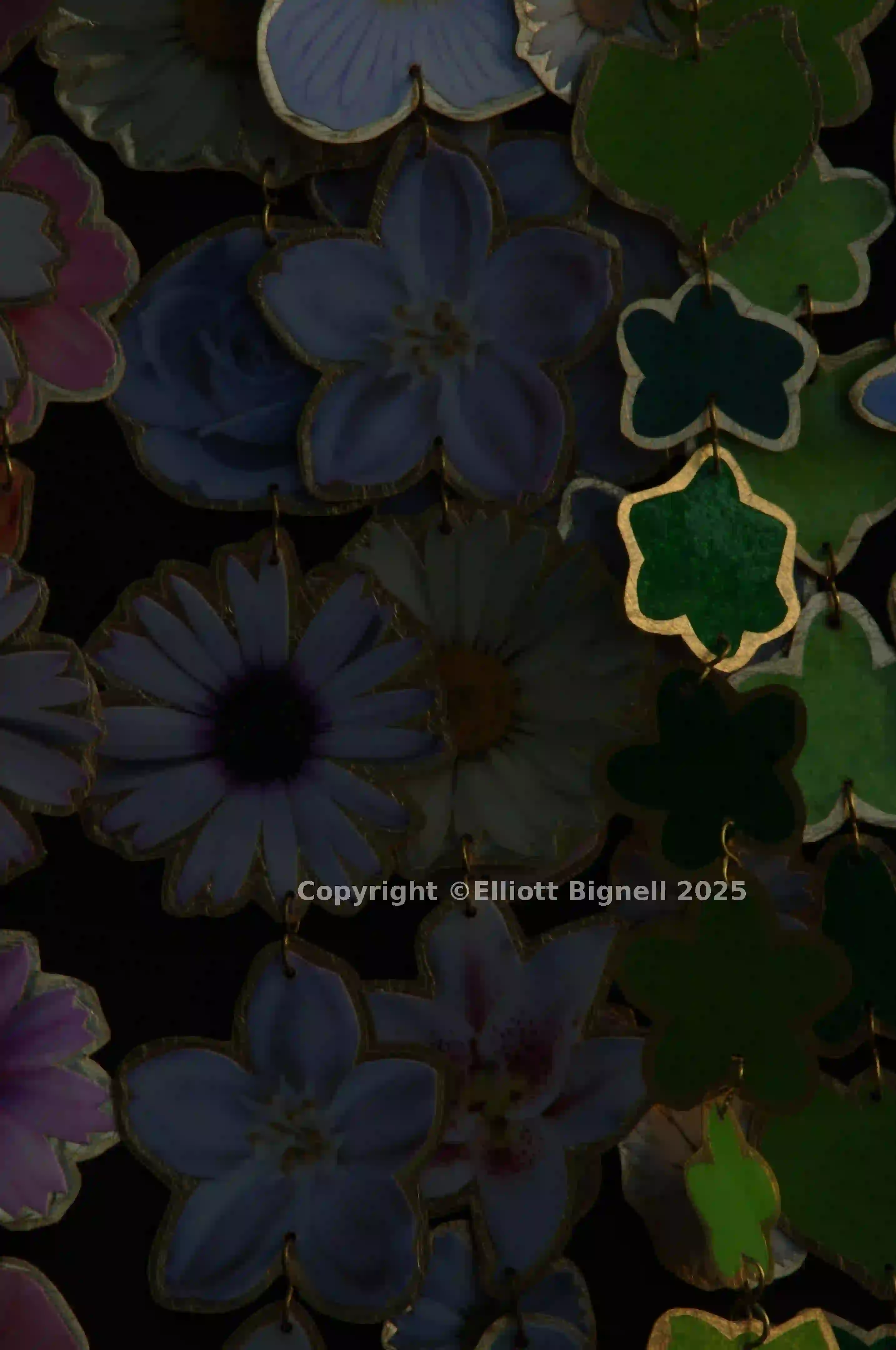 2013-11-10-20.50.43 ZS DMap.jpg